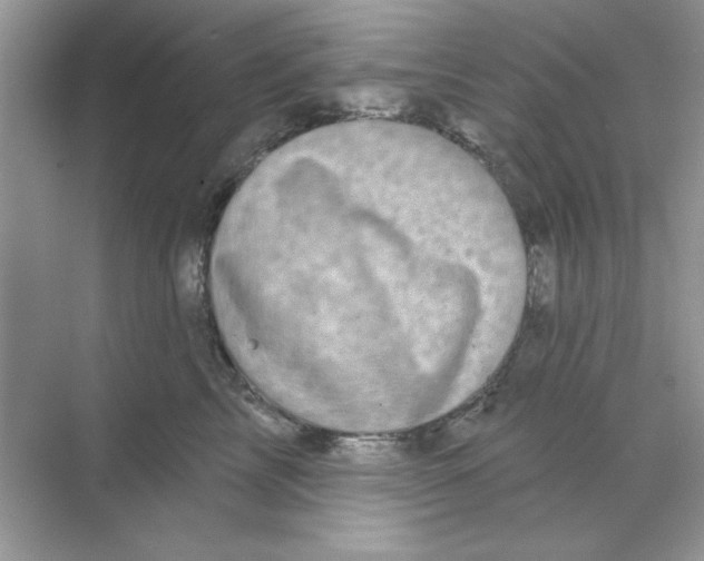 X0000068890713200606021919