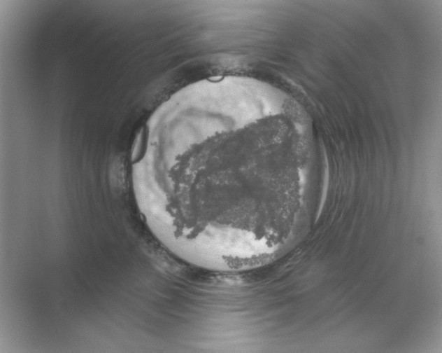 X0000068890715200606021919