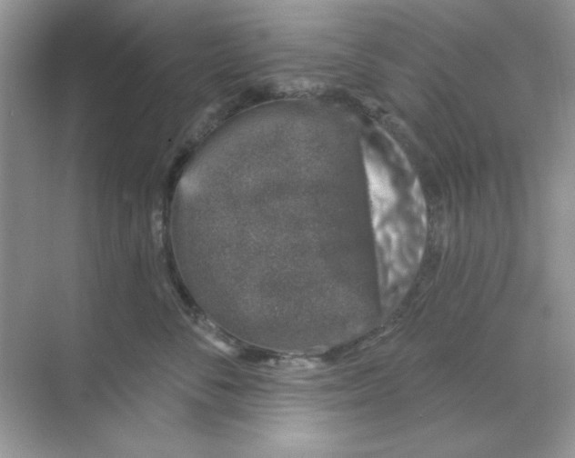 X0000068890716200606021919