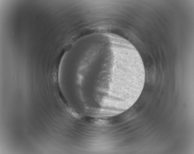 X0000068890718200606021919