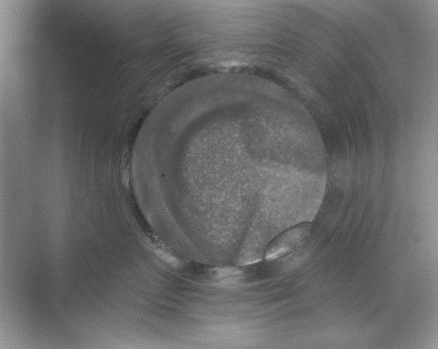 X0000068890719200606021919