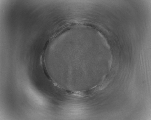 X0000068890720200606021919