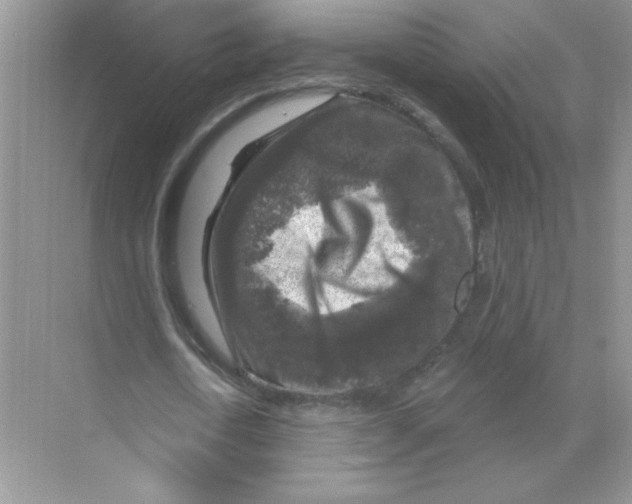 X0000068890722200606021918