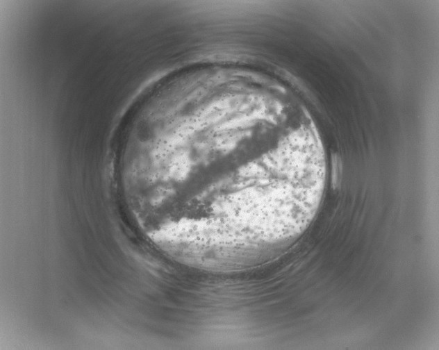 X0000068890723200606021918