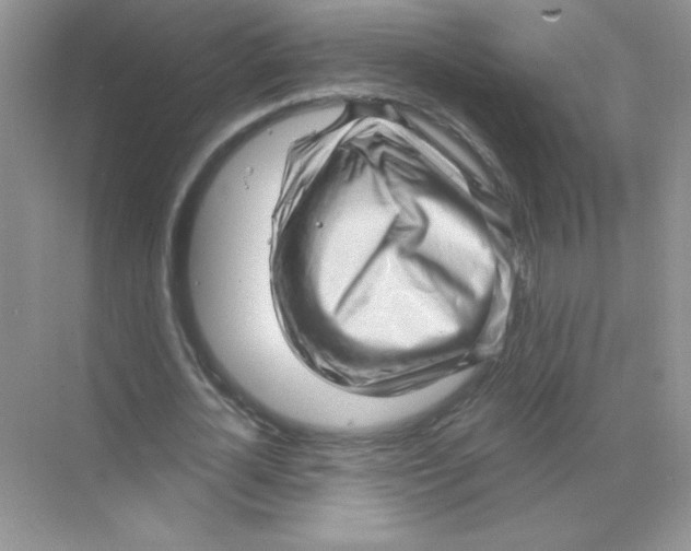 X0000068890724200606021918