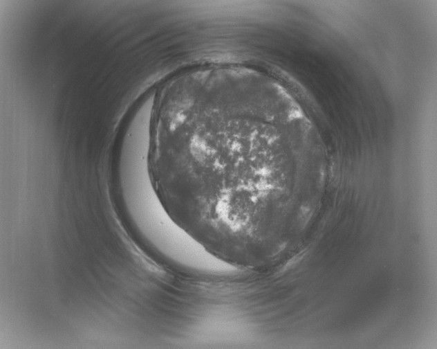 X0000068890725200606021918