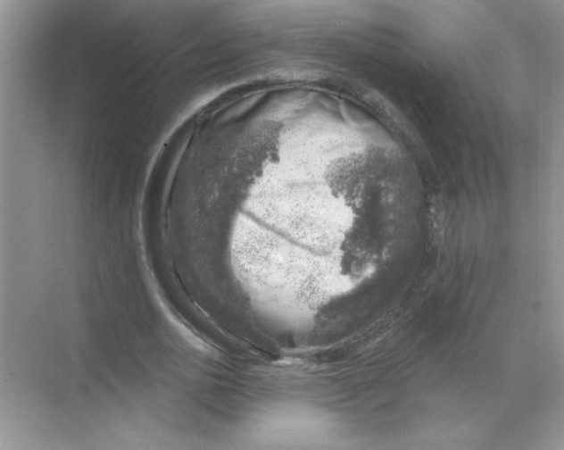 X0000068890726200606021918