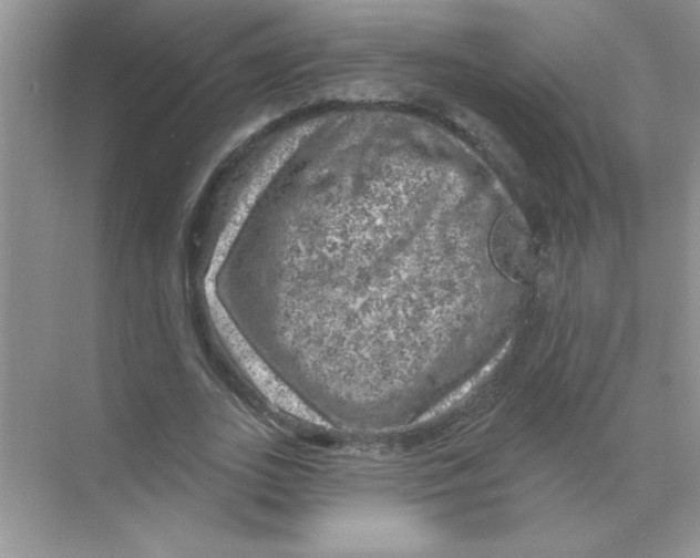 X0000068890727200606021918