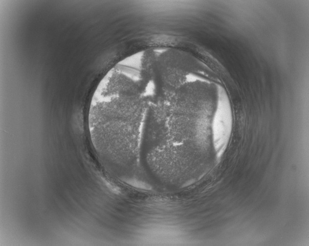 X0000068890729200606021918