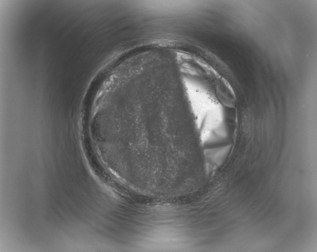 X0000068890730200606021918