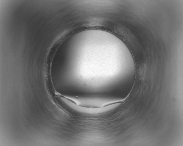 X0000068890732200606021919