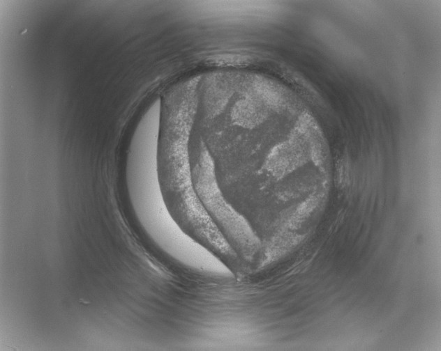 X0000068890733200606021919