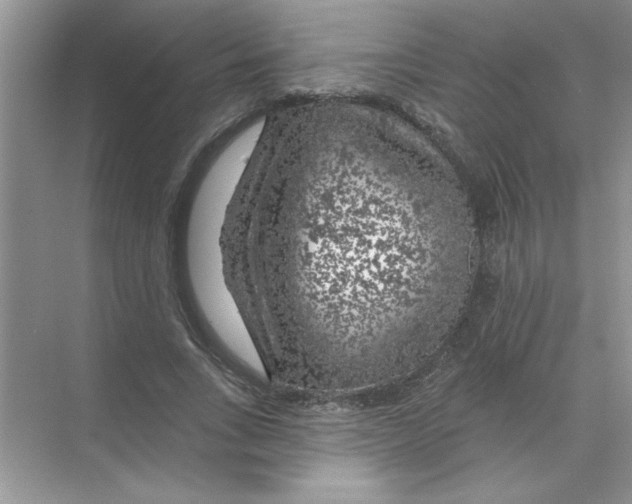 X0000068890735200606021919