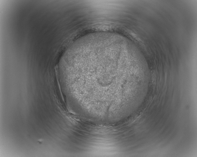 X0000068890737200606021919