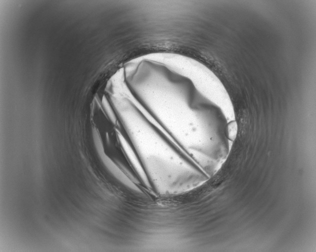 X0000068890739200606021919