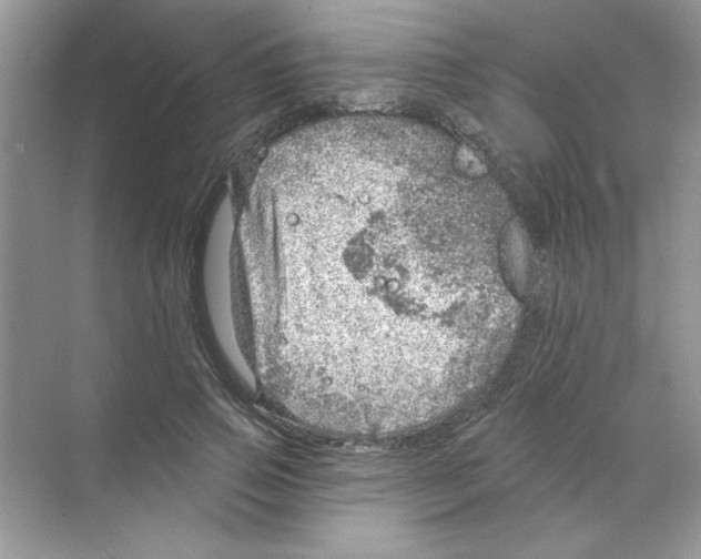 X0000068890741200606021919