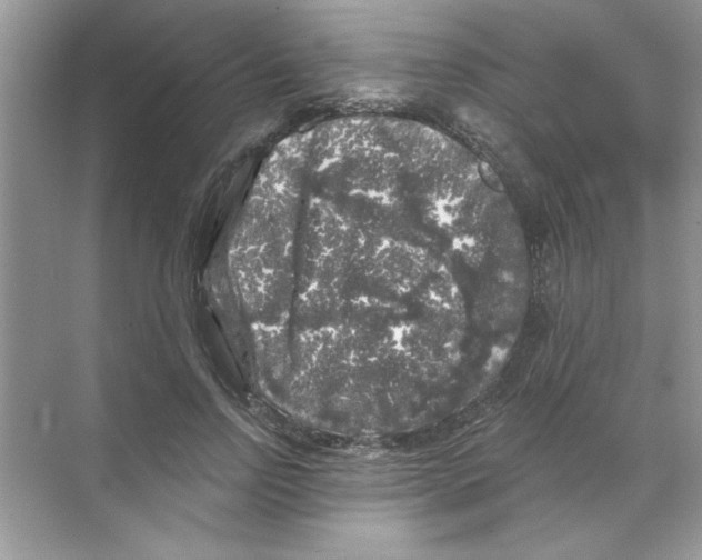 X0000068890742200606021919