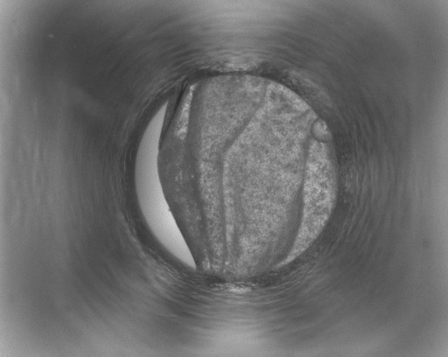 X0000068890743200606021919