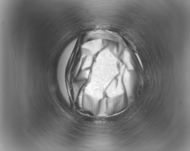 X0000068890744200606021919