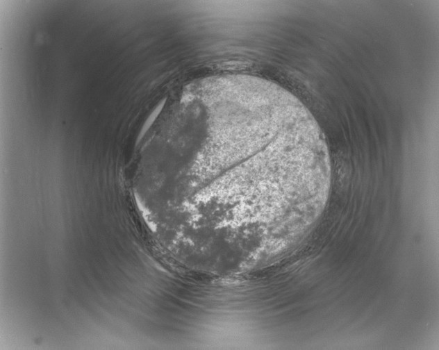 X0000068890745200606021919