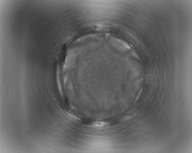 X0000068890748200606021919