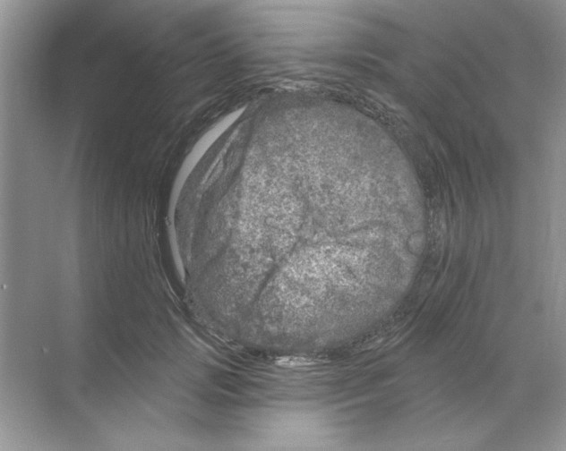 X0000068890749200606021919