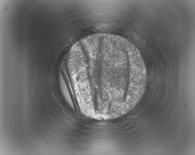 X0000068890751200606021919