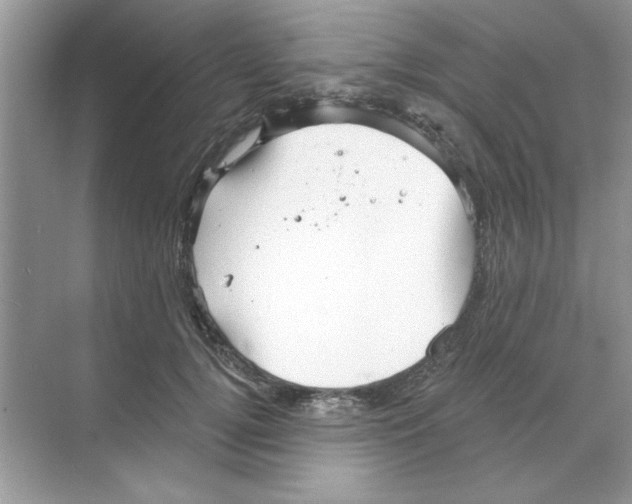 X0000068890752200606021919