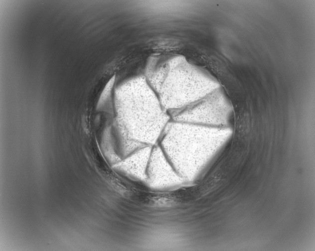 X0000068890755200606021919