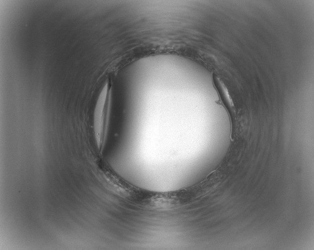 X0000068890756200606021919