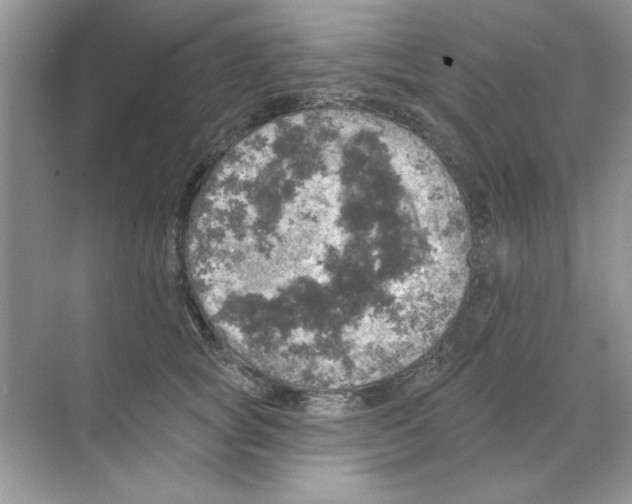 X0000068890757200606021919