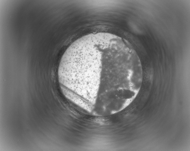 X0000068890759200606021919