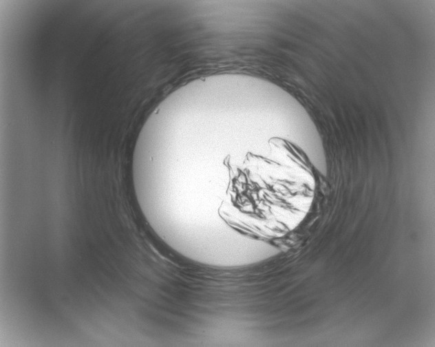 X0000068890760200606021919