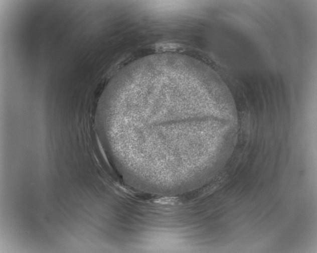 X0000068890761200606021919