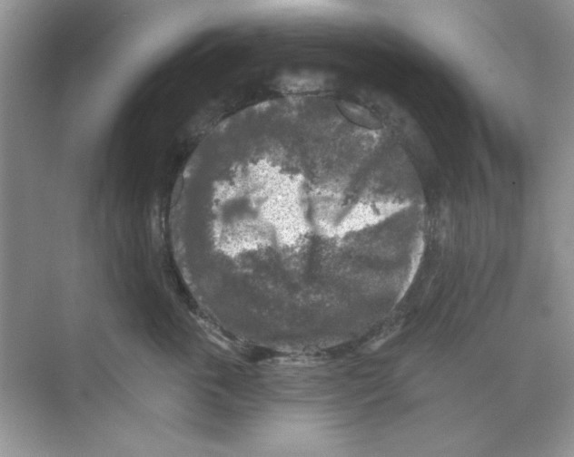 X0000068890763200606021919