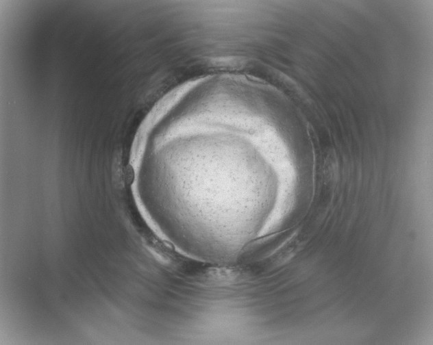 X0000068890764200606021919