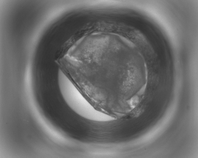 X0000068890765200606021919