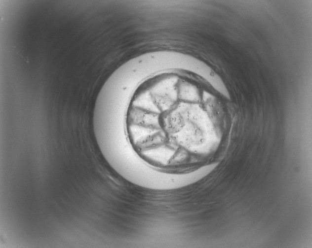 X0000068890766200606021919