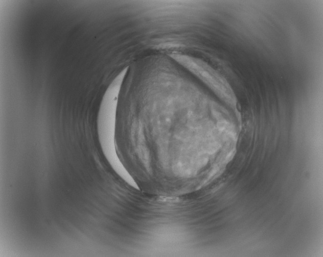 X0000068890767200606021919