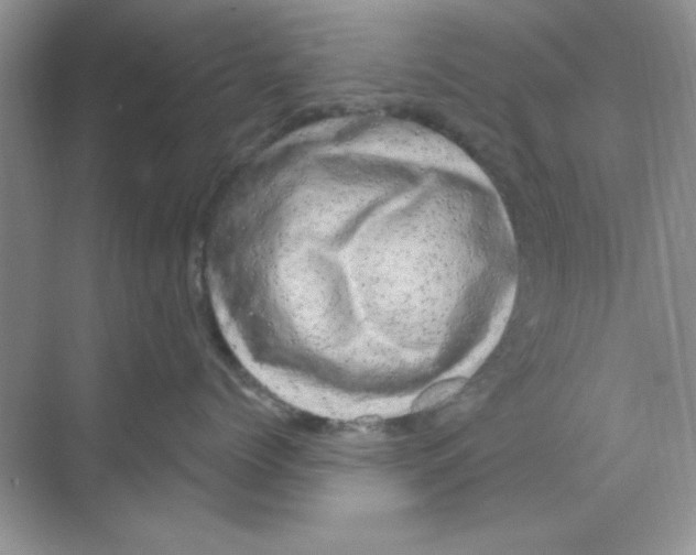 X0000068890768200606021919