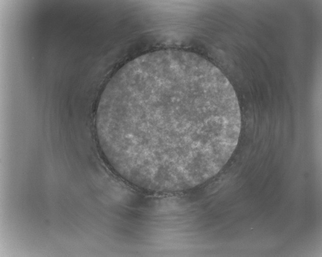 X0000068890769200606021918