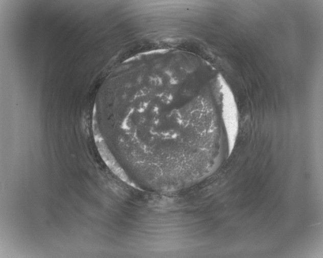 X0000068890772200606021918