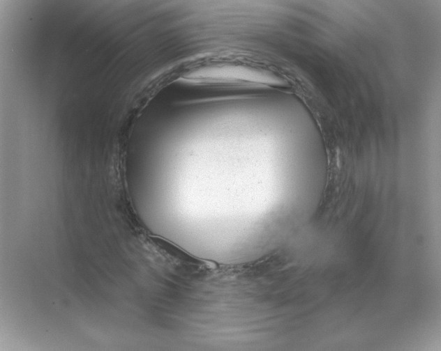 X0000068890773200606021918