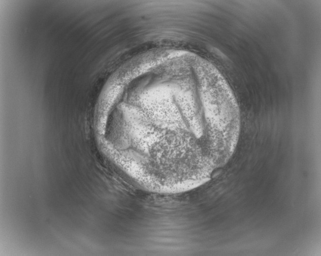 X0000068890774200606021918