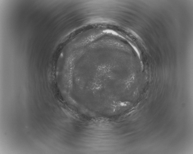 X0000068890775200606021918