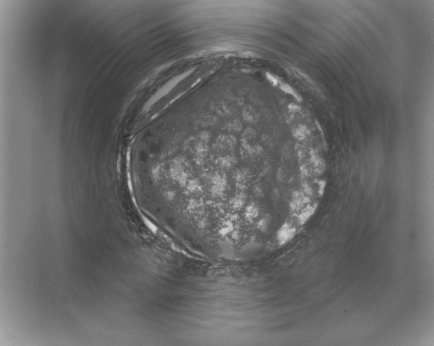 X0000068890776200606021918