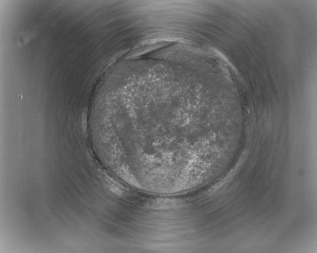 X0000068890777200606021918