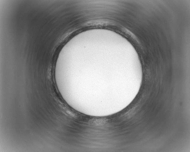 X0000068890778200606021918