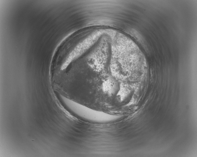 X0000068890780200606021918