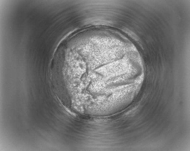 X0000068890782200606021918